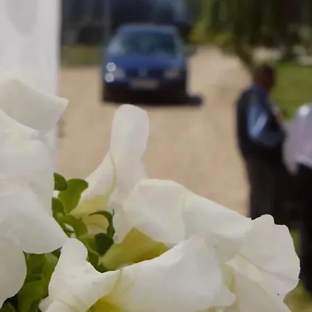 Cr El Portezuelo Boutique Experience Country house Fuenlabrada de los Montes